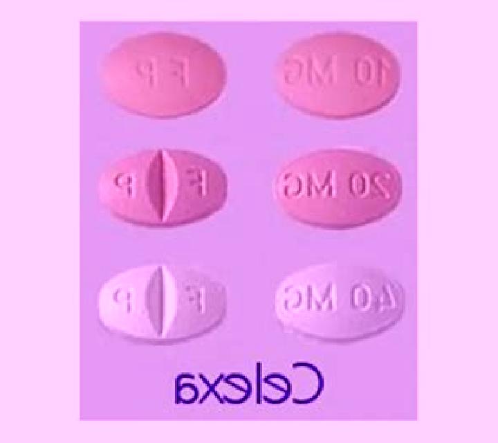 Celexa can dogs take celexa tablet