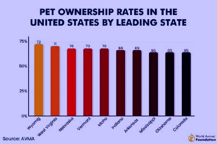 Celexa can u just stop taking celexa tablet