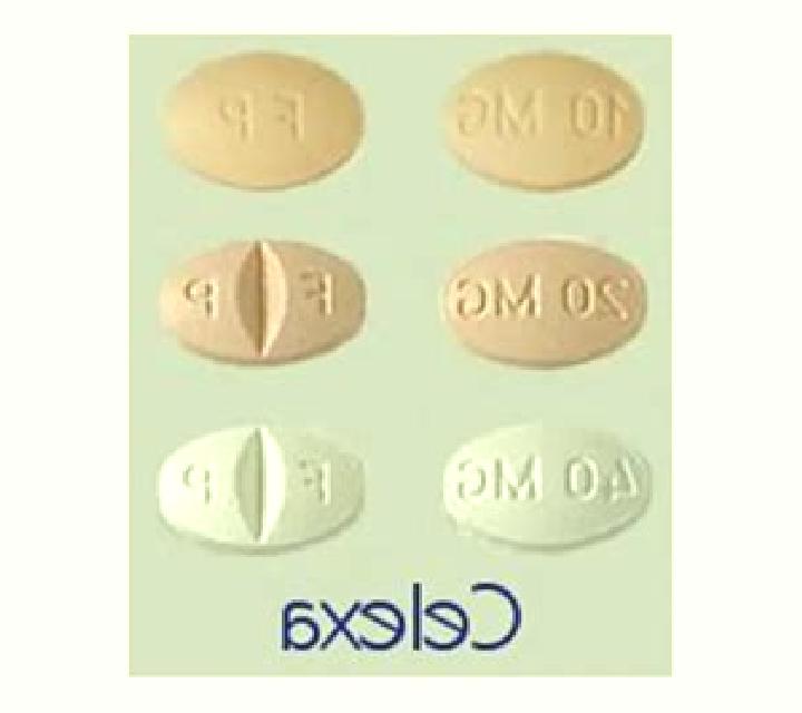 Celexa celex 32006r1013 pills