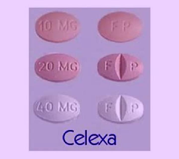 Celexa celexa 40mg combined with phenigrine tablet