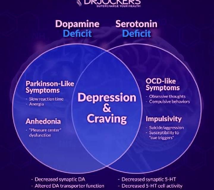 Celexa celexa affect dopamine tablet