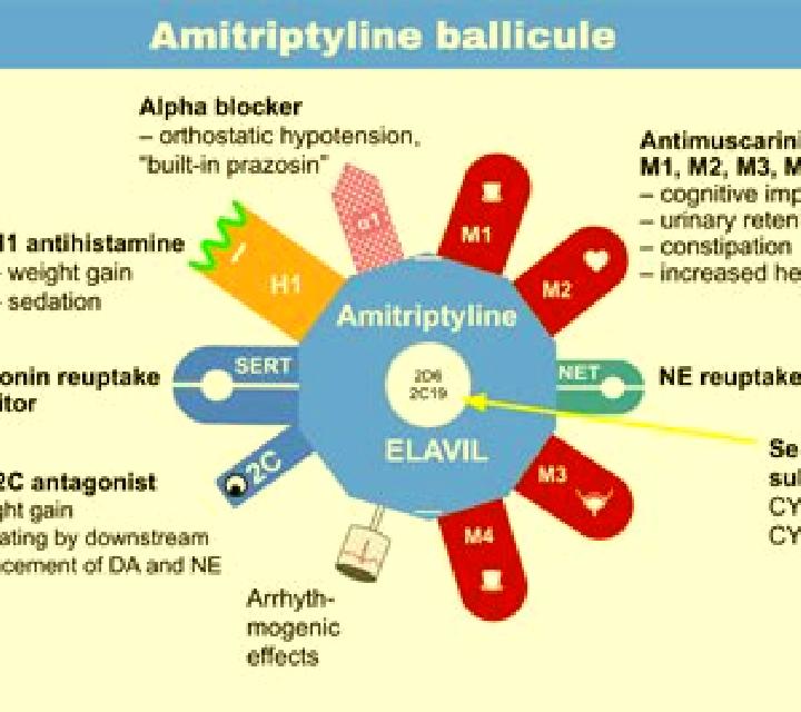 Celexa celexa and amitriptyline interaction pharmacy