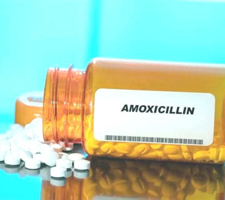 Celexa celexa and amoxicillin pills