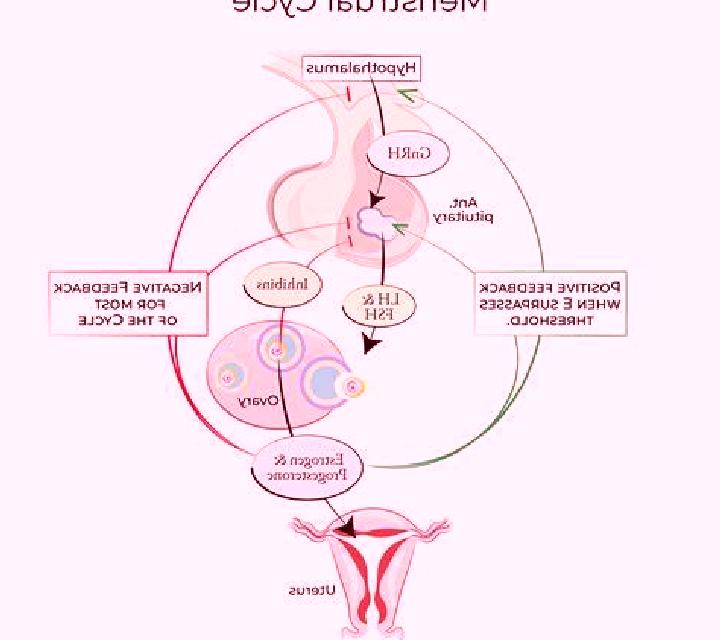 Celexa celexa and menstrual cycle changes pills