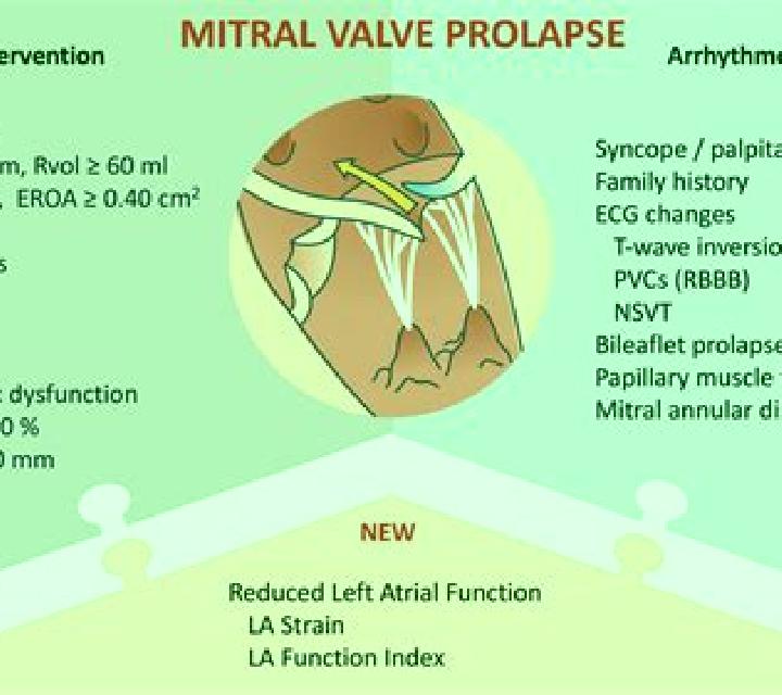Celexa celexa and mitral valve prolapse pills
