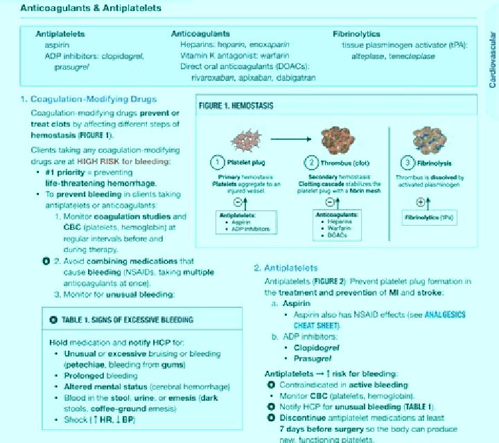 Celexa celexa antihistamine interaction pharmacy