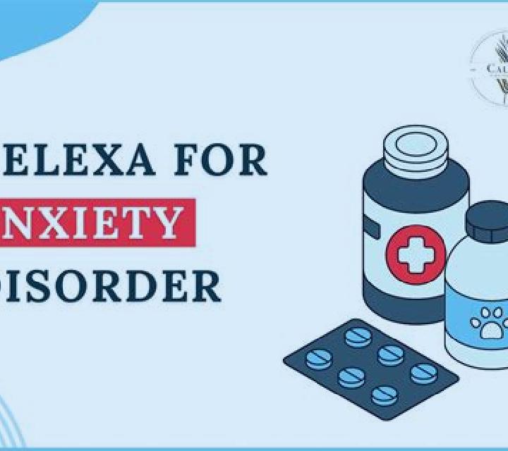Celexa celexa audition autotoxic pills