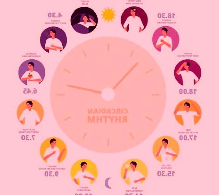 Celexa celexa circadian rythym pharmacy