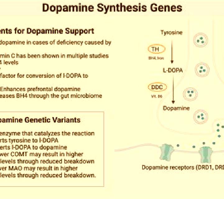 Celexa celexa decrease dopamine pills