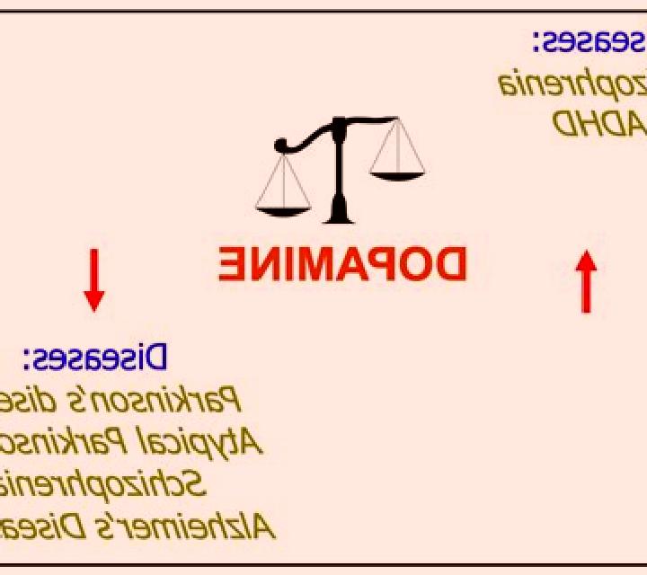 Celexa celexa decreases dopamine pharmacy