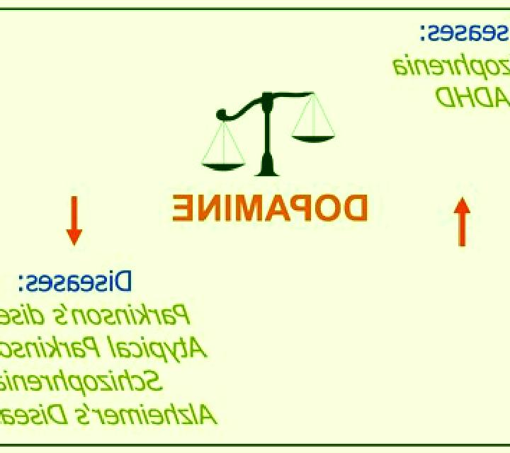 Celexa celexa decreases dopamine tablet