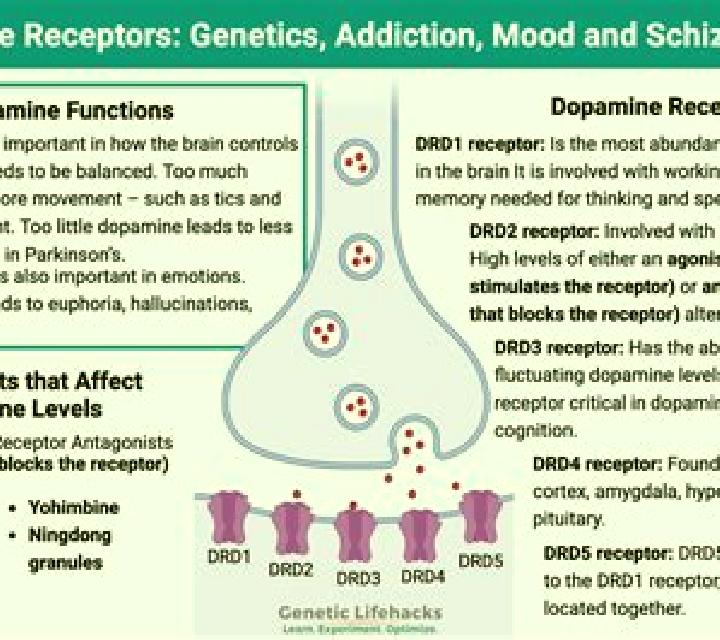 Celexa celexa dopamine d2 receptor medication