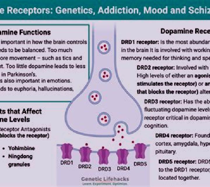 Celexa celexa dopamine d2 receptor tablet
