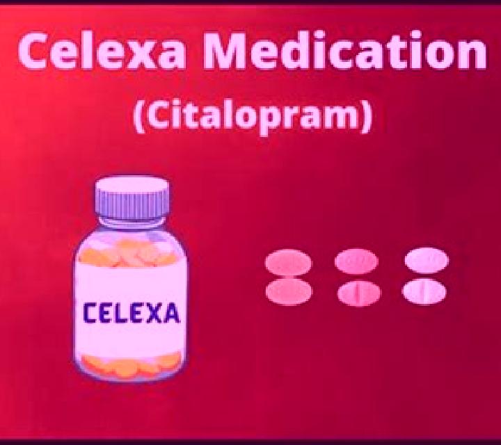 Celexa celexa during pregnetcy medication