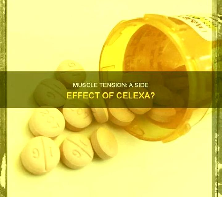 Celexa celexa effect on exercise pharmacy