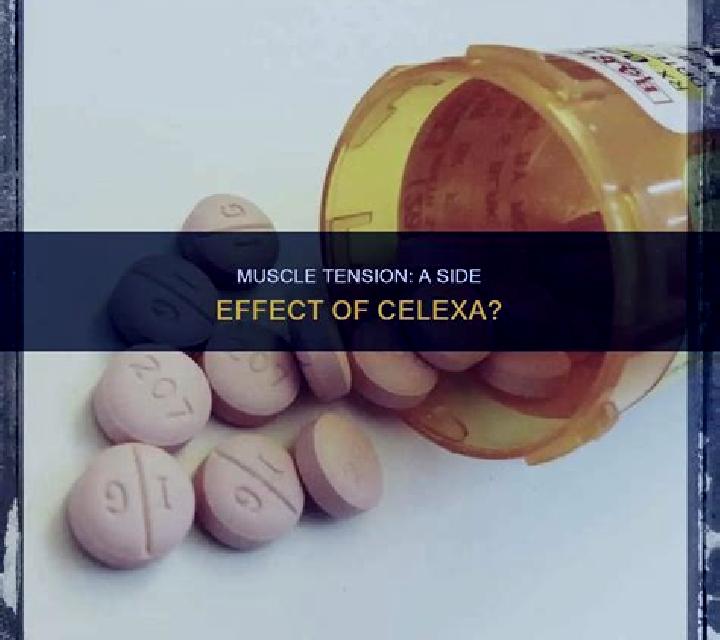 Celexa celexa effect on testosterone pills