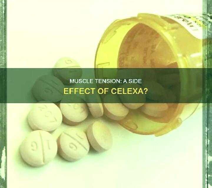 Celexa celexa effect on testosterone tablet