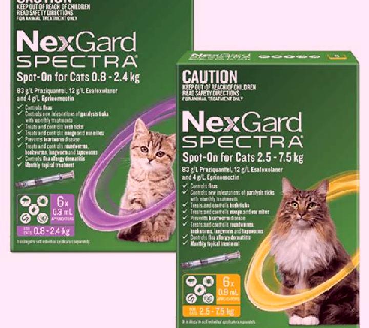 Celexa celexa for cats tablet