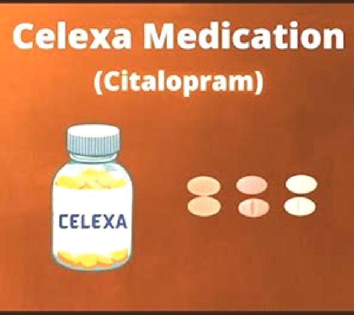 Celexa celexa for dogs vomiting medication