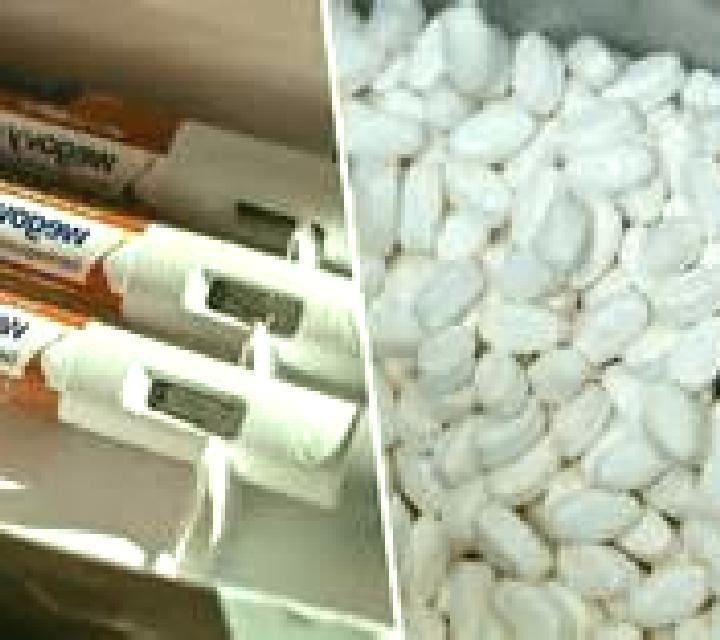 Celexa celexa half life pills