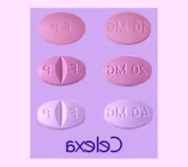 Celexa celexa highest mg tablet