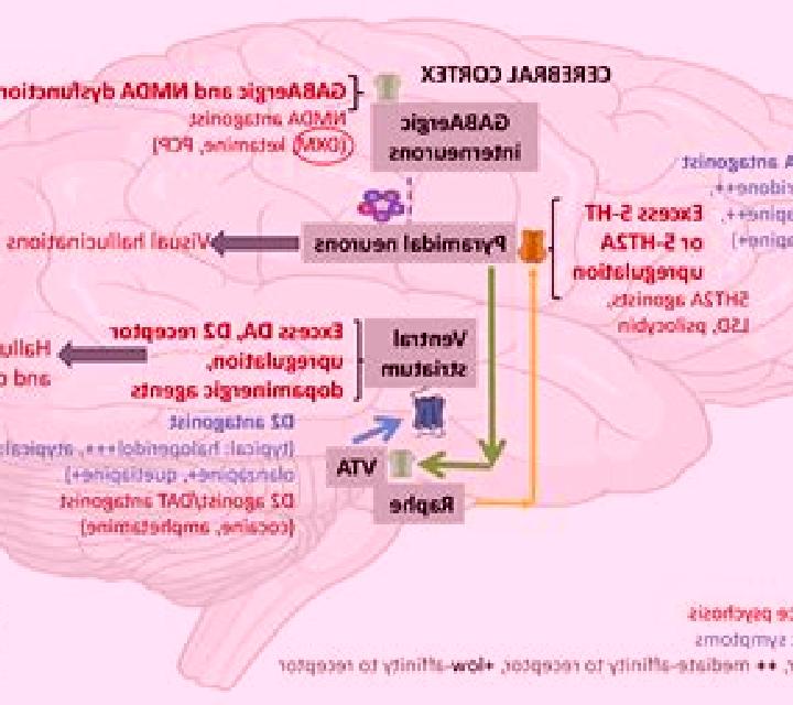 Celexa celexa induced psychosis medication