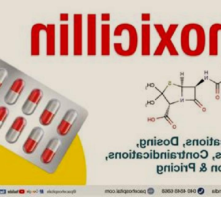 Celexa celexa interactions with amoxicillin pills