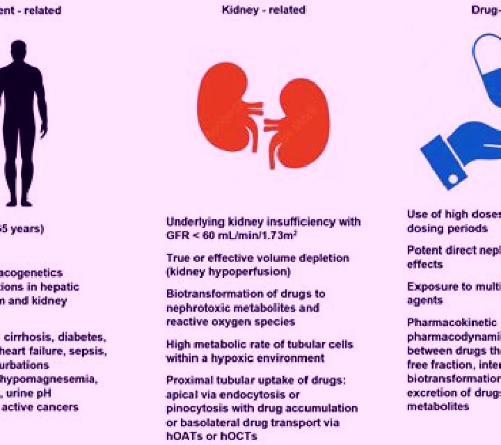 Celexa celexa kidney damage medication