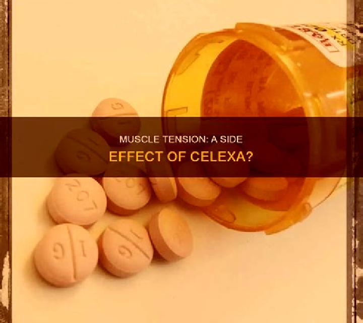Celexa celexa muscle aches pills