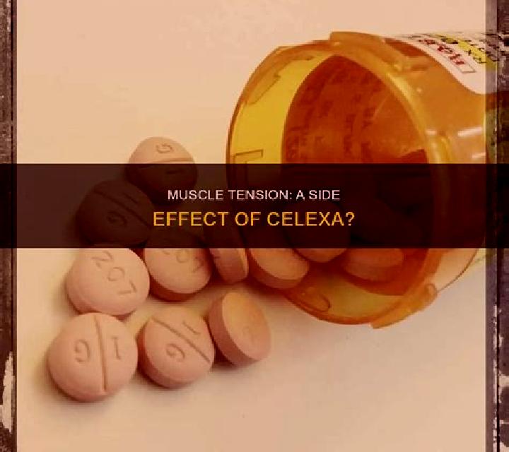 Celexa celexa muscle tension pills