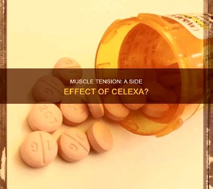 Celexa celexa muscle twitching pills