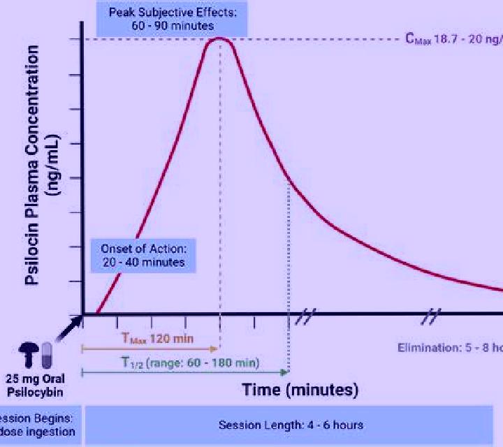 Celexa celexa onset peak duration medication