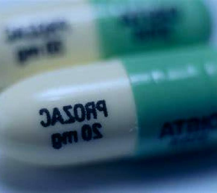Celexa celexa paxil not working medication