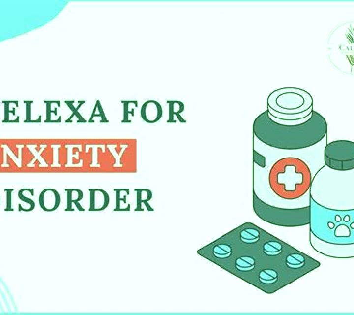 Celexa celexa reviews for panic attacks medication