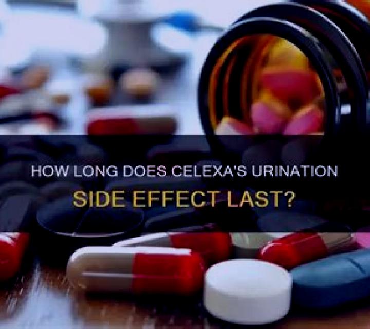 Celexa celexa sweating goes away medication