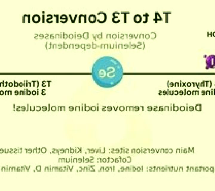 Celexa celexa t4-t3 conversion pills