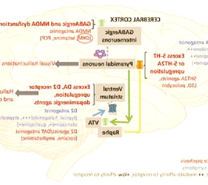 Celexa celexa traumatic brain injury medication