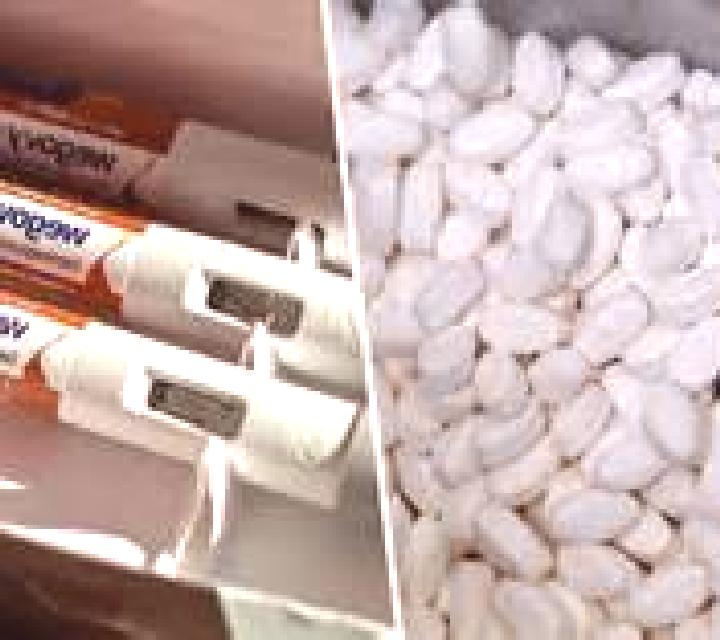 Celexa celexa was working pills