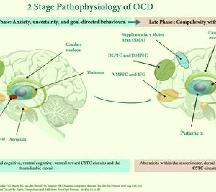Celexa celexa works for ocd and depression pharmacy