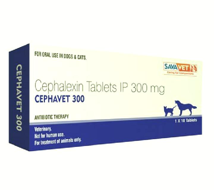Cephavet pharmacy