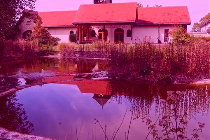 Champix champix smoking tablets side effects pharmacy