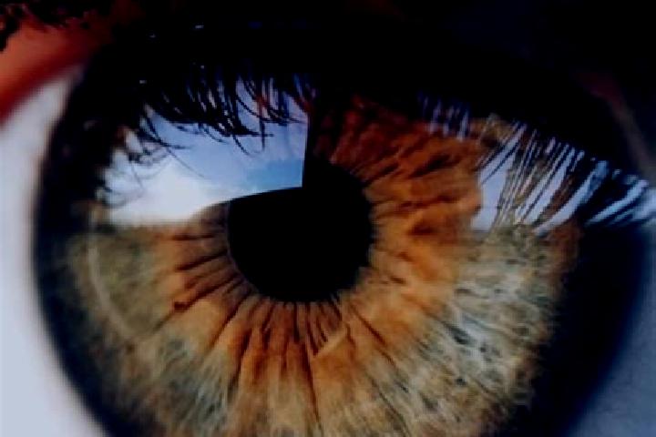 Cialis cialis every day pharmacy