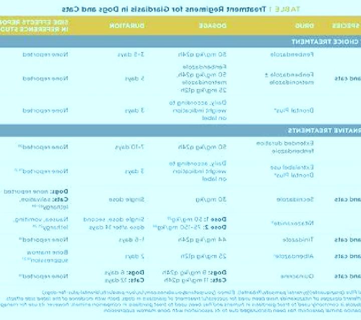 Flagyl canine flagyl toxicity medication