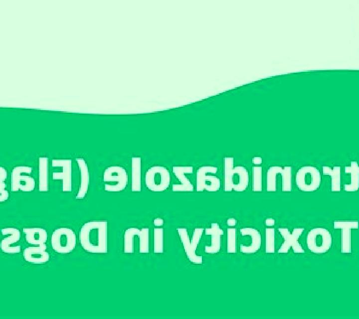 Flagyl canine flagyl toxicity pharmacy