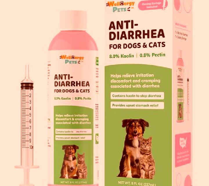 Flagyl cat flagyl diarrhea pills