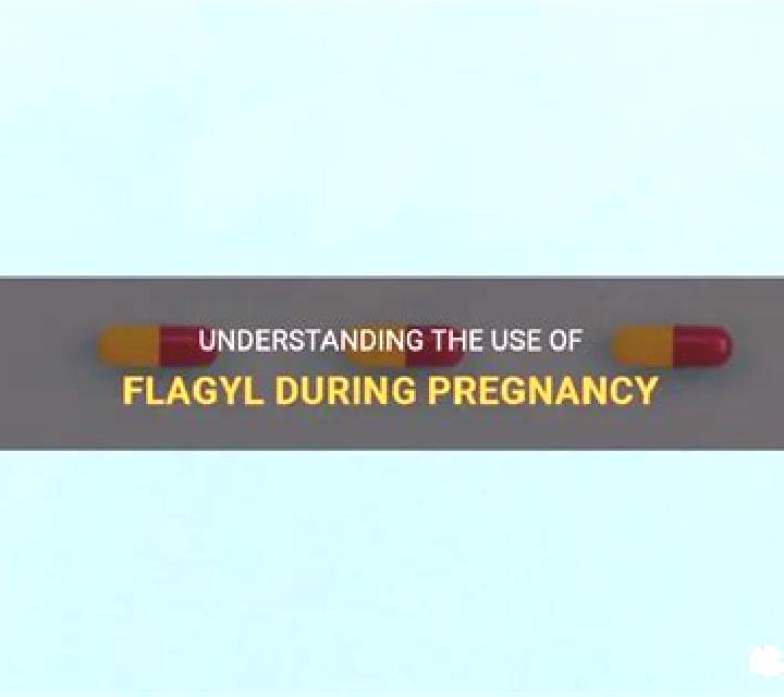 Flagyl cdc flagyl pregnancy medication