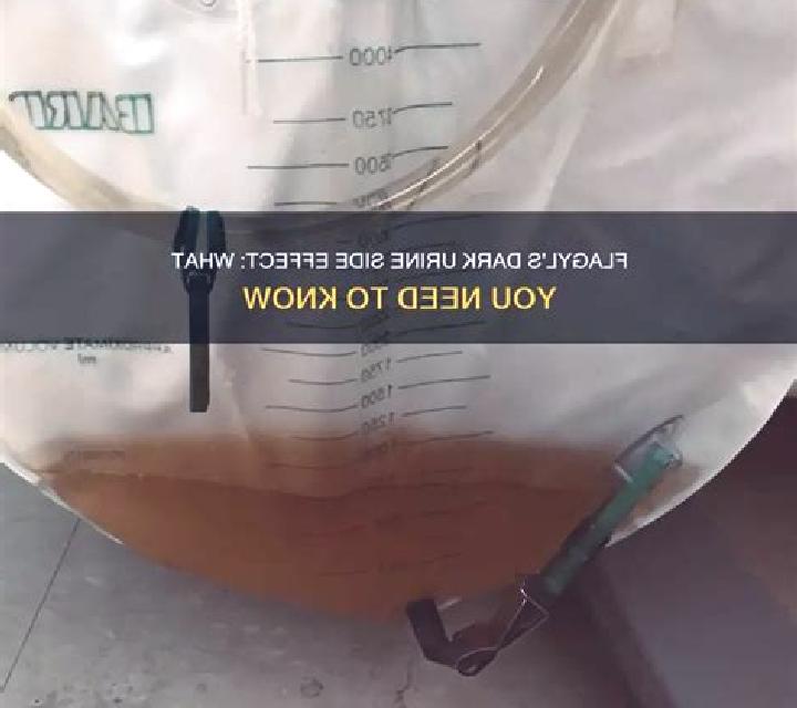 Flagyl dark urine while on flagyl pharmacy