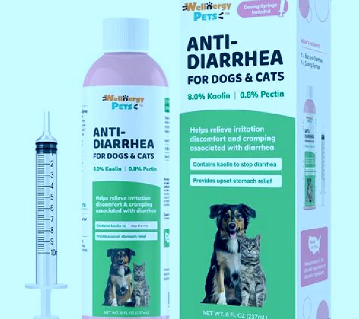 Flagyl flagyl diarrhea cats medication