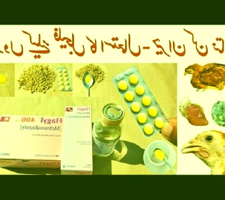 Flagyl flagyl dose for chickens pills