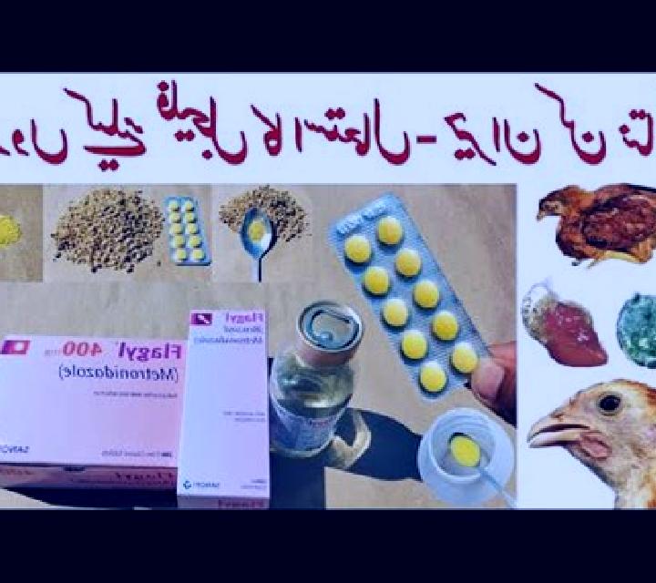 Flagyl flagyl dose for chickens tablet
